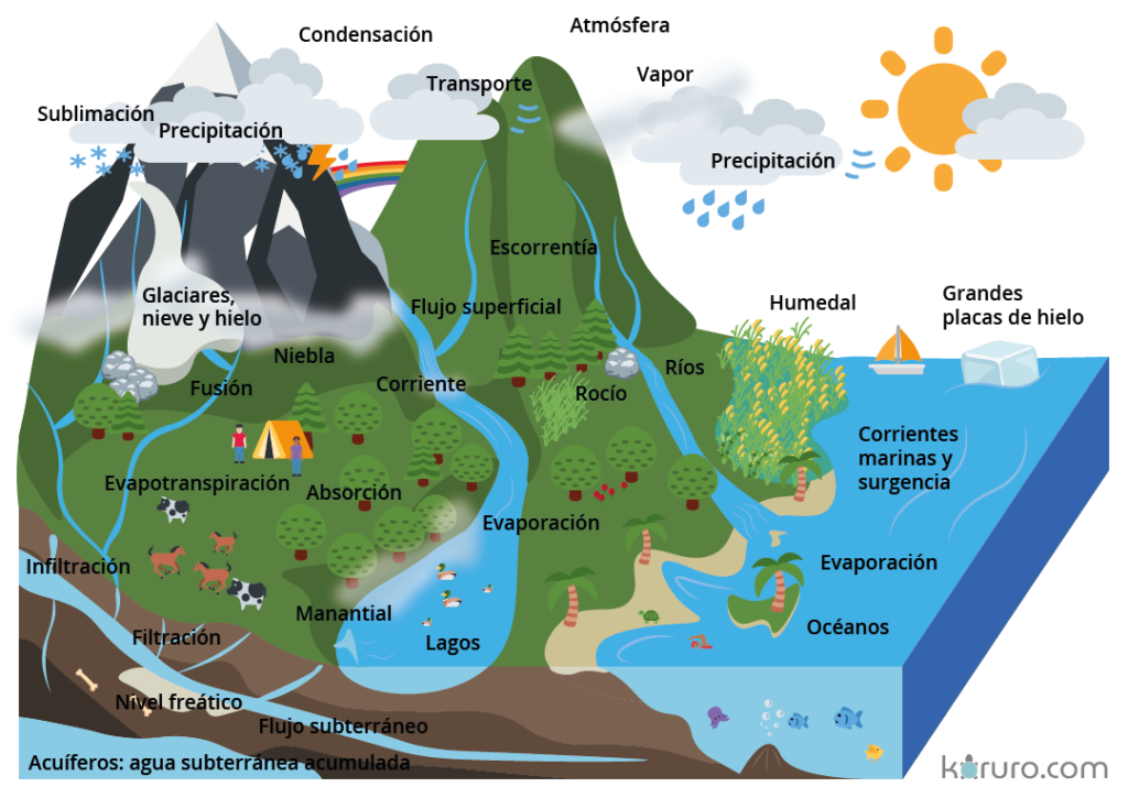 ciclo del agua esquema completo